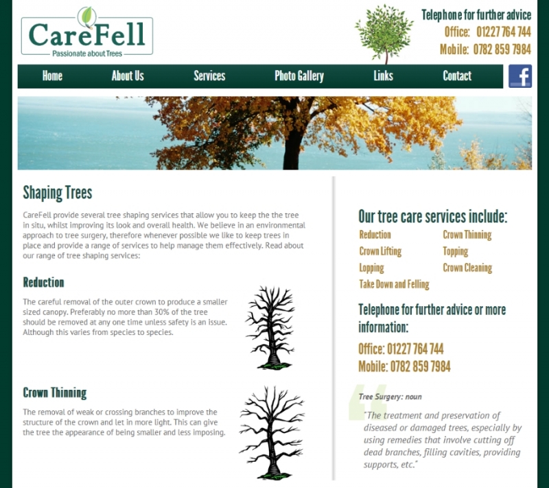 Website Design for Tree Surgeon