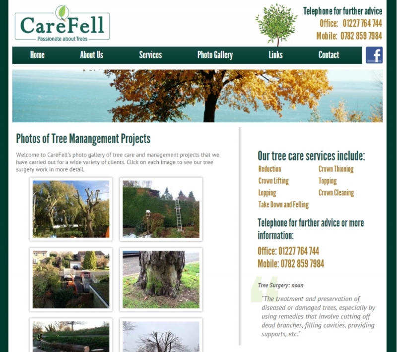 Website Design for Tree Surgeon