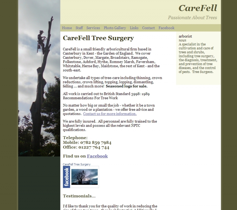 Tree Surgeon Website Design - Original Site