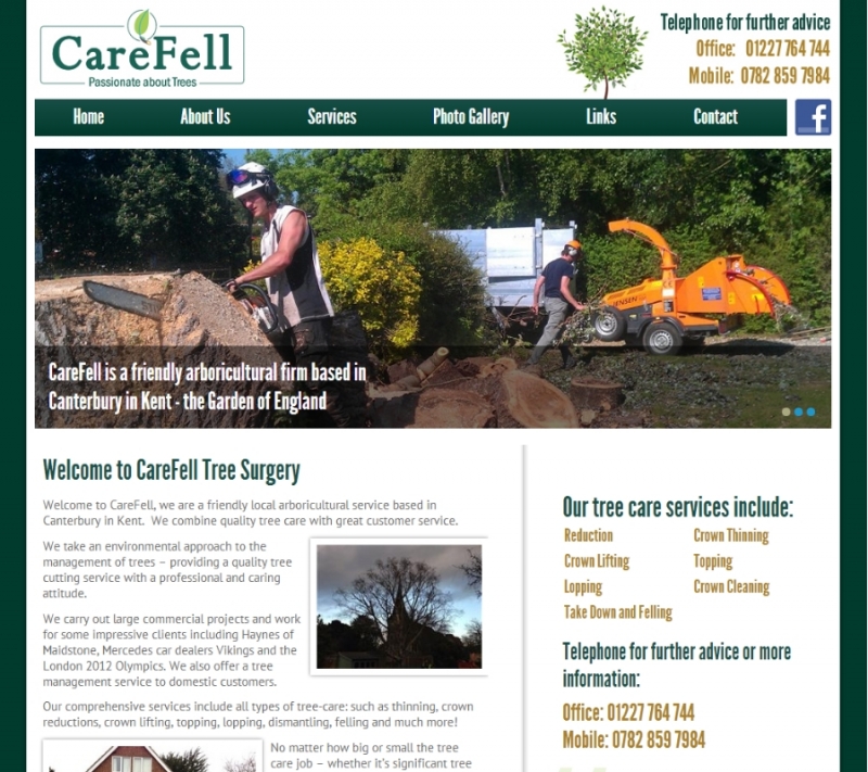 Website Design for Tree Surgeon