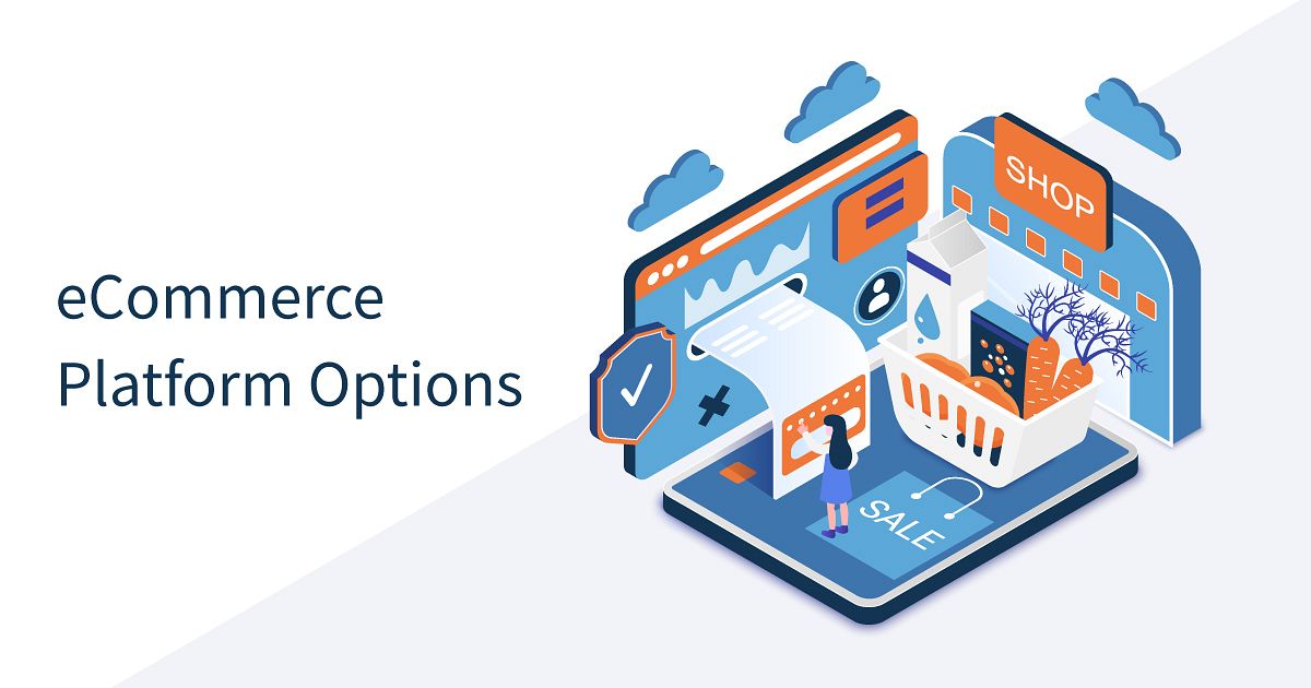 eCommerce Platforms Options – Which type is right for me? 