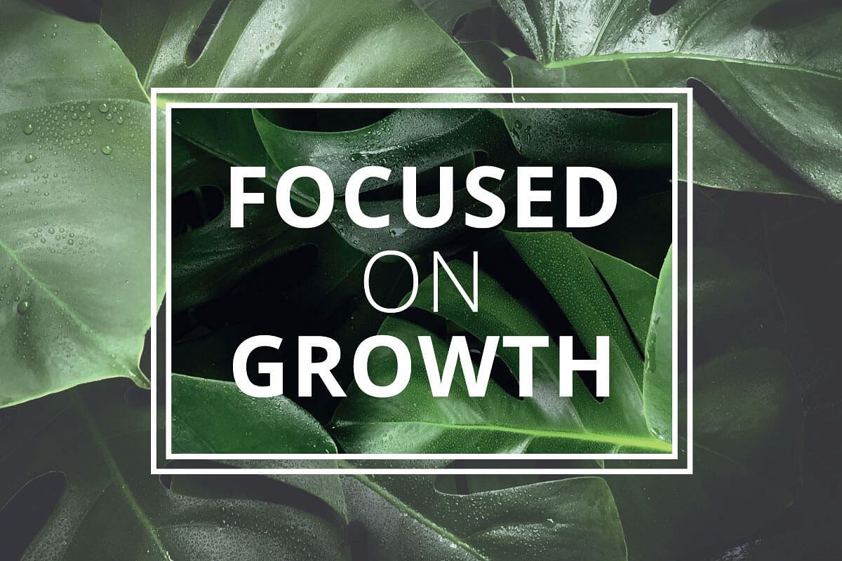 Focused on Growth