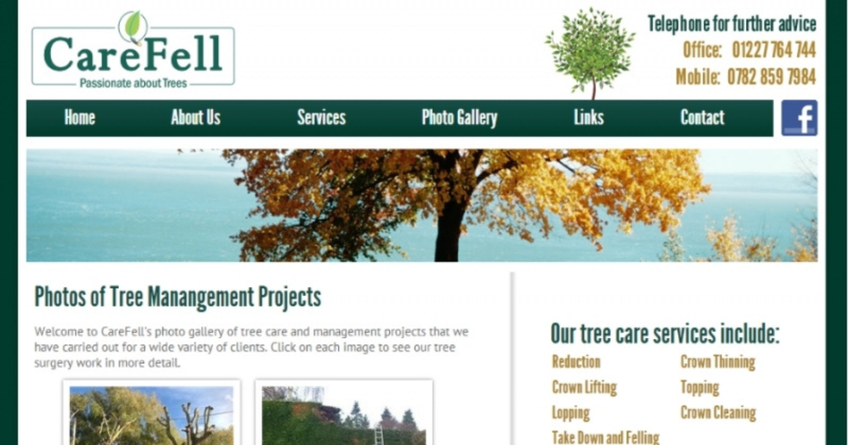 Web Design Case Study - Tree Surgeon Website