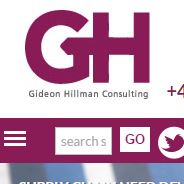 B2B GH Consulting Web Design