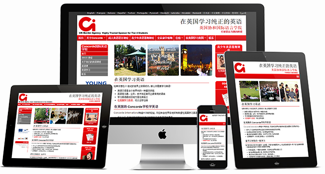Chinese Web Design for Education Sector