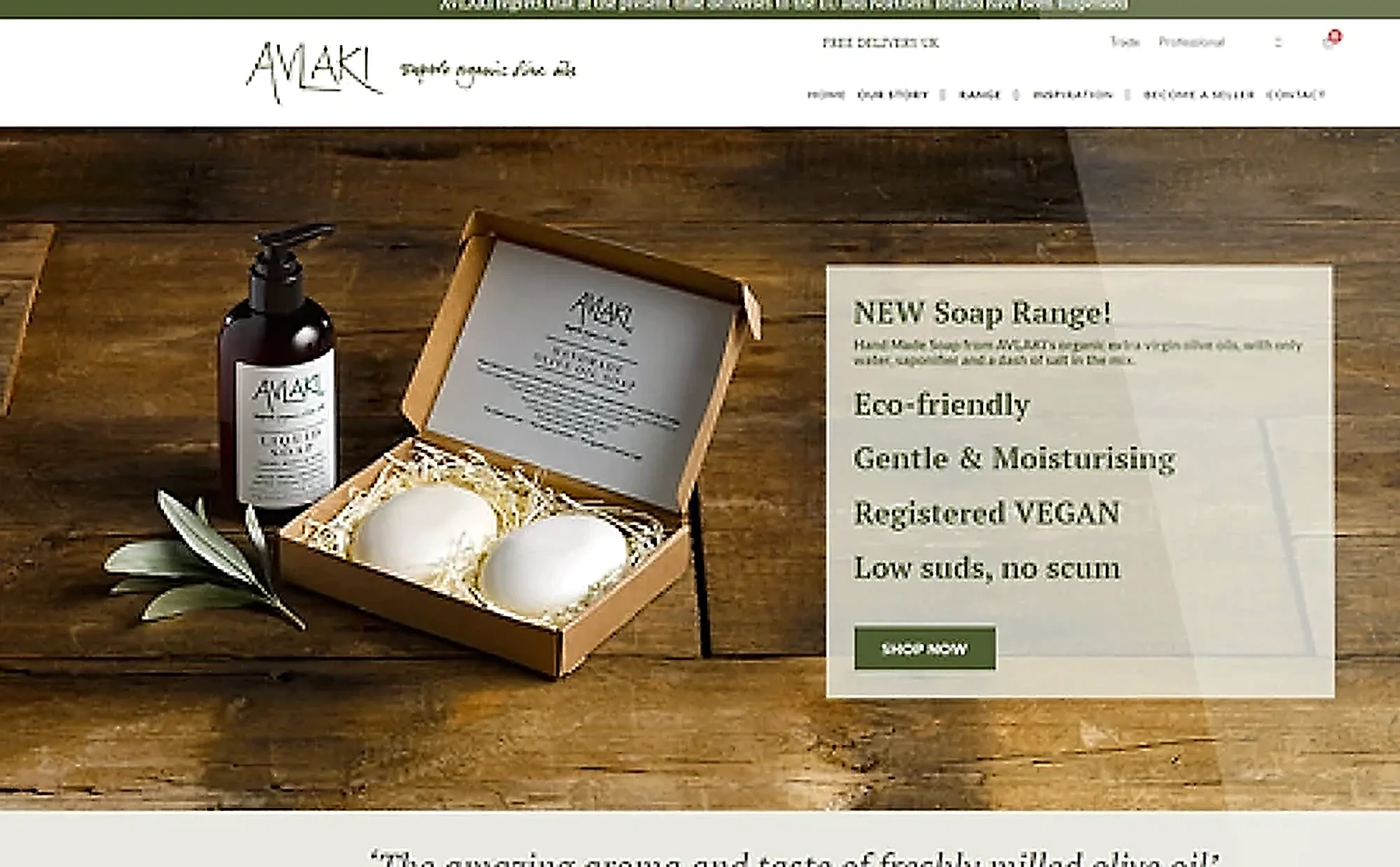 Avlaki website by ExtraDigital