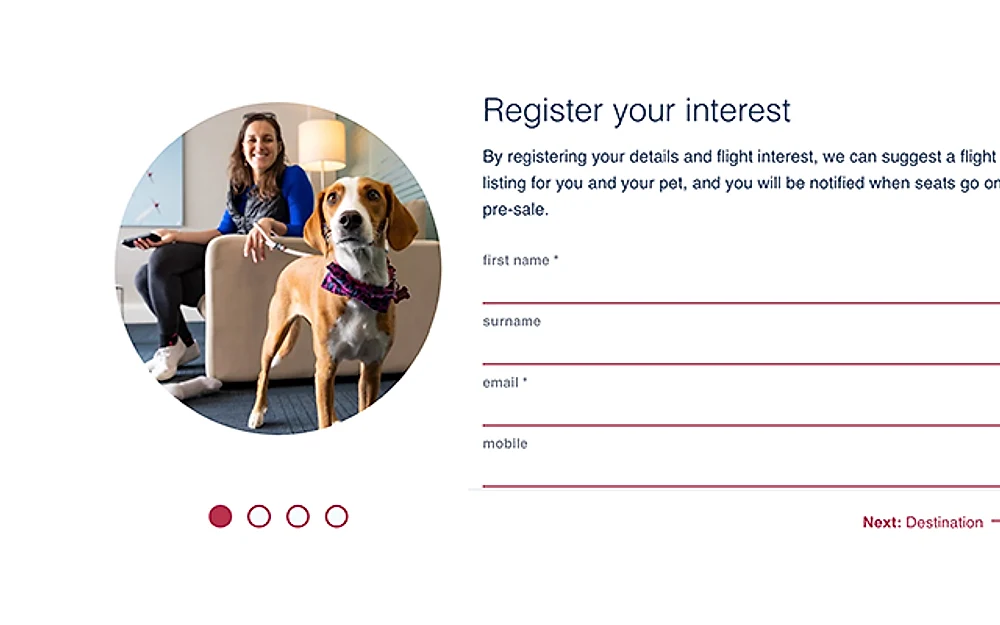 K9 JETS website by ExtraDigital