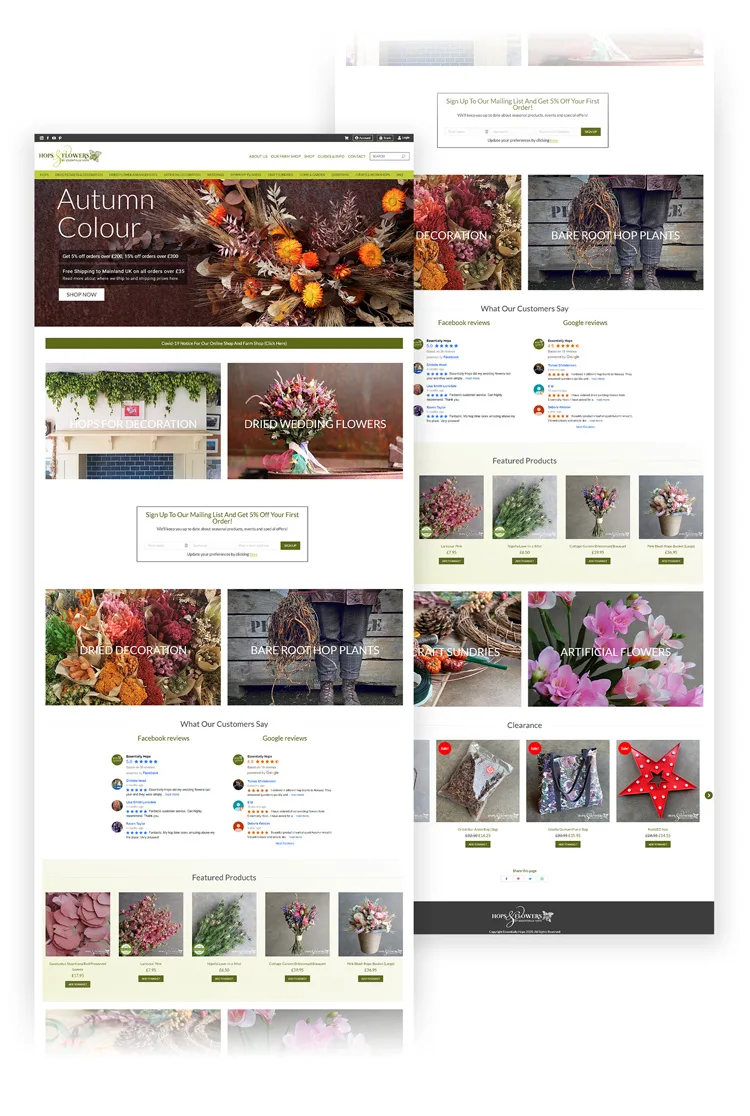 Essentially Hops website, full length