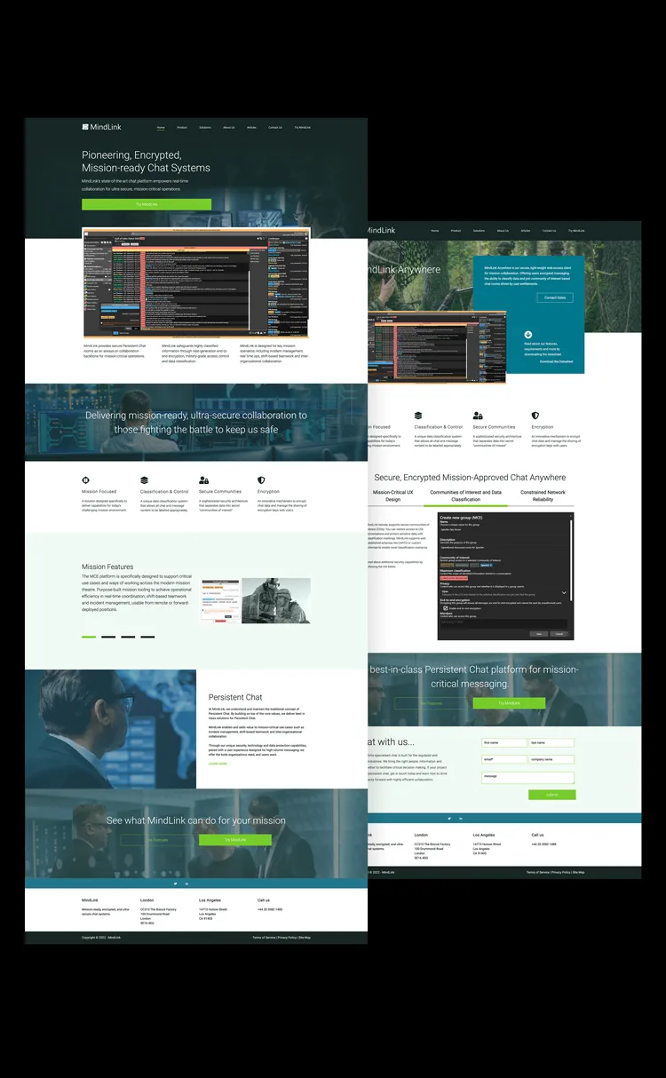 MindLink website, full length