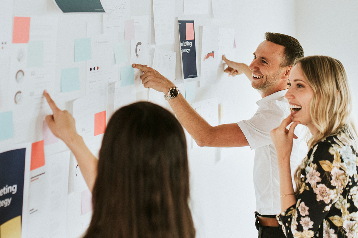 Branded House vs. House of Brands