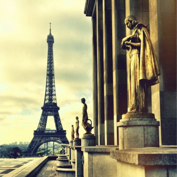 French Digital Marketing Services