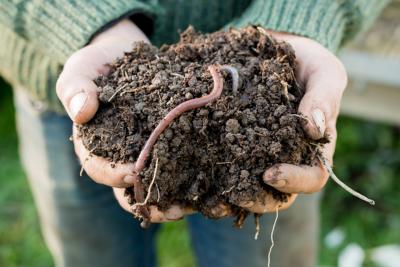 PPC campaigns for compost supplier