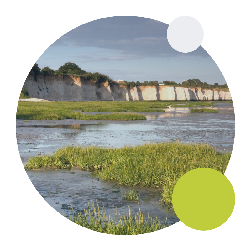 Pegwell area near ExtraDigital office in Kent