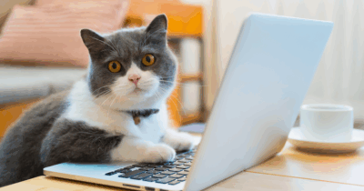 AEO (Answer Engine Optimisation): Why It’s Replacing Traditional SEO