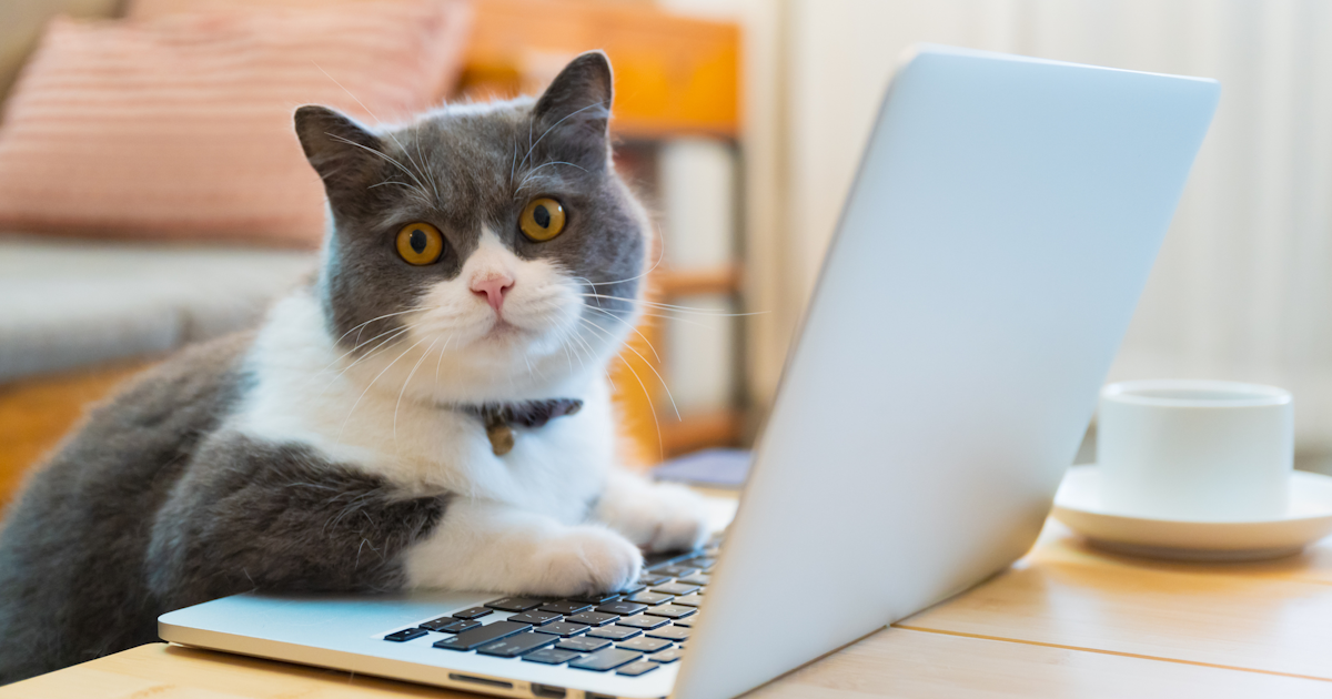 Answer Engine Optimisation. AEO is about optimsing your content to provide answers to questions
